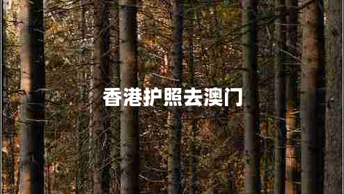 香港護(hù)照去澳門(mén)