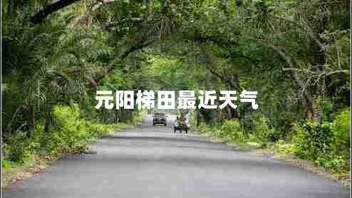 元陽梯田最近天氣