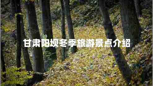 甘肅陽壩冬季旅游景點介紹