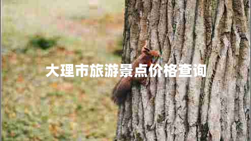 大理市旅游景點(diǎn)價(jià)格查詢 大理市旅游景點(diǎn)價(jià)格查詢