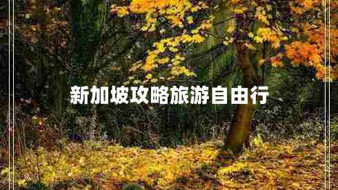 新加坡攻略旅游自由行 新加坡攻略旅游自由行