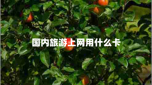 國(guó)內(nèi)旅游上網(wǎng)用什么卡 國(guó)內(nèi)旅游上網(wǎng)用什么卡