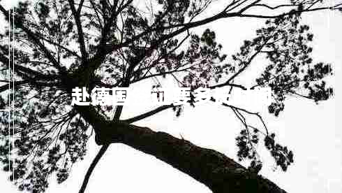 赴德國(guó)簽證要多長(zhǎng)時(shí)間 赴德國(guó)簽證要多長(zhǎng)時(shí)間