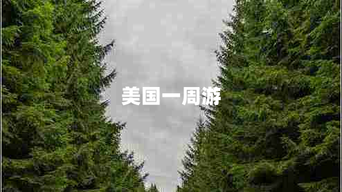 美國一周游