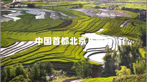 中國首都北京兒童畫