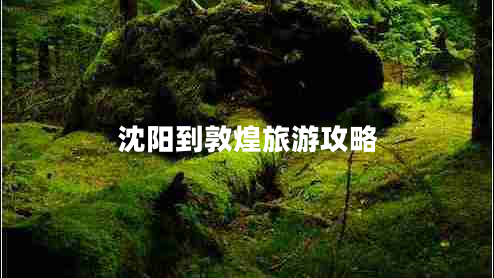 沈陽到敦煌旅游攻略