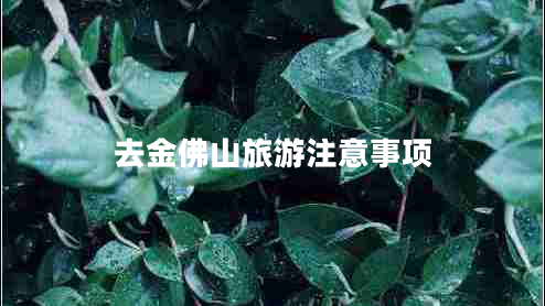 去金佛山旅游注意事項