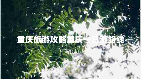 重慶旅游攻略重慶一日游路線