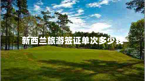 新西蘭旅游簽證單次多少錢