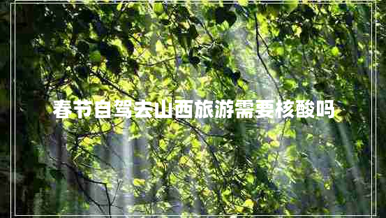 春節(jié)自駕去山西旅游需要核酸嗎