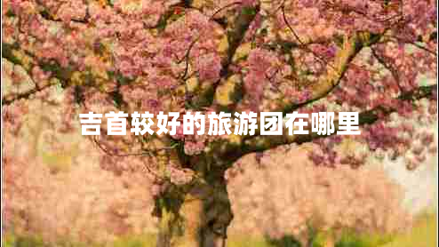 吉首較好的旅游團(tuán)在哪里 吉首較好的旅游團(tuán)在哪里