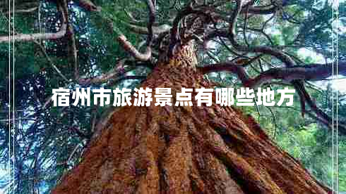 宿州市旅游景點(diǎn)有哪些地方 宿州市旅游景點(diǎn)有哪些地方