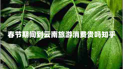 春節(jié)期間到云南旅游消費(fèi)貴嗎知乎 春節(jié)期間到云南旅游消費(fèi)貴嗎知乎