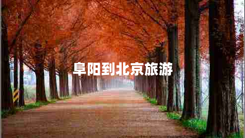 阜陽到北京旅游