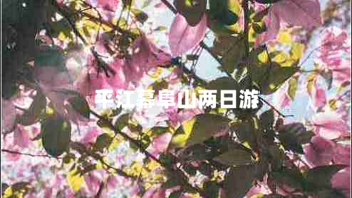 平江幕阜山兩日游 平江幕阜山兩日游