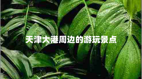 天津大港周邊的游玩景點(diǎn)