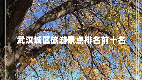 武漢城區(qū)旅游景點(diǎn)排名前十名