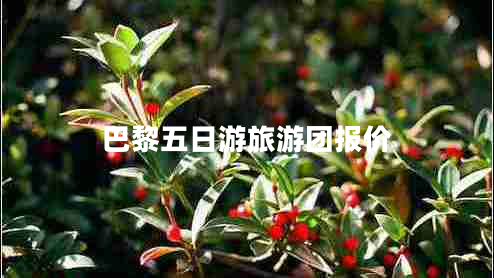 巴黎五日游旅游團(tuán)報(bào)價(jià)