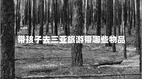 帶孩子去三亞旅游帶哪些物品