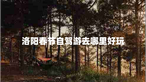 洛陽春節(jié)自駕游去哪里好玩