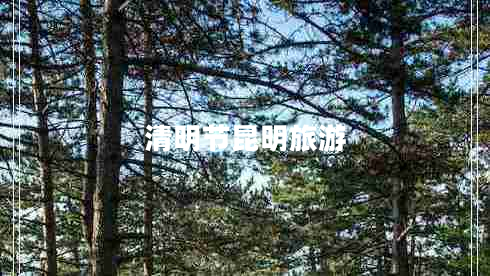 清明節(jié)昆明旅游