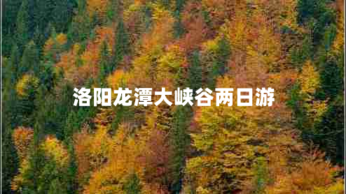 洛陽龍?zhí)洞髰{谷兩日游