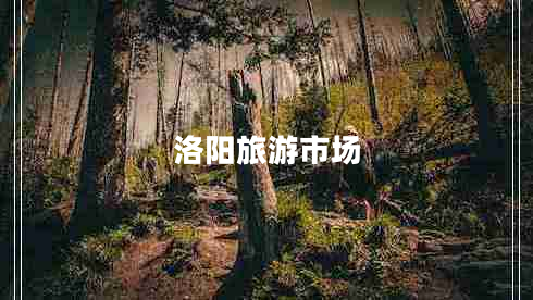 洛陽旅游市場