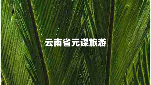云南省元謀旅游 云南省元謀旅游