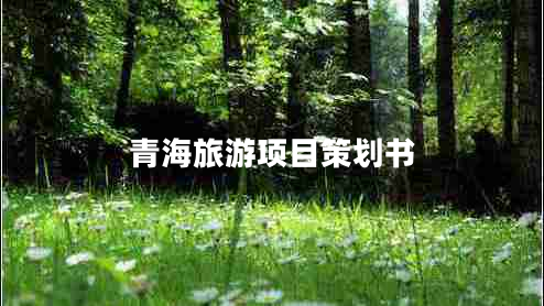 青海旅游項目策劃書