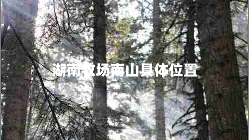 湖南牧場南山具體位置