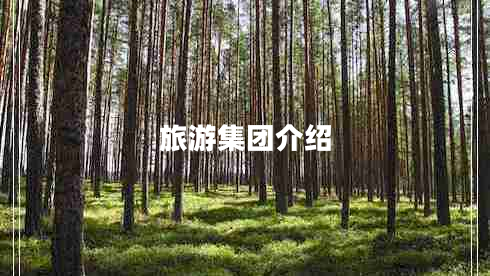 旅游集團介紹