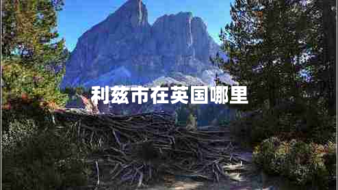 利茲市在英國哪里