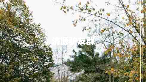 濟(jì)源驢友群 濟(jì)源驢友群