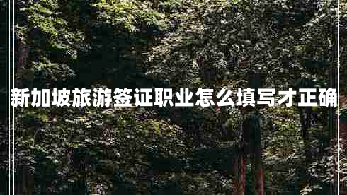 新加坡旅游簽證職業(yè)怎么填寫才正確