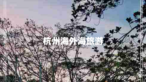 杭州海外海旅游