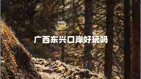 廣西東興口岸好玩嗎 廣西東興口岸好玩嗎