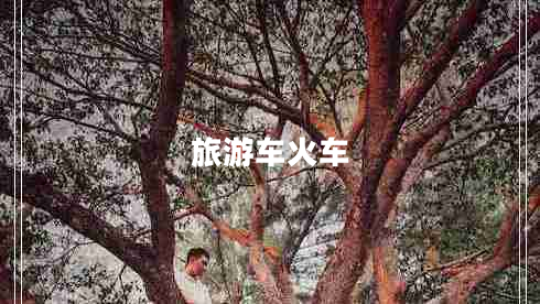 旅游車火車