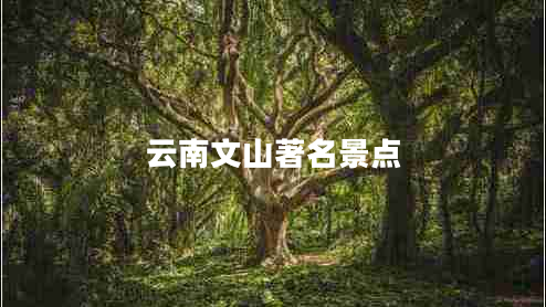 云南文山著名景點(diǎn)