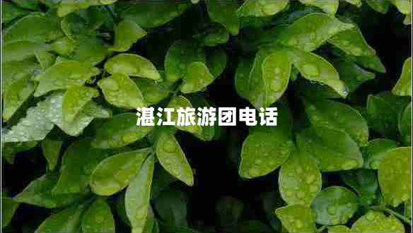 湛江旅游團電話