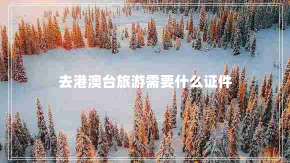 去港澳臺(tái)旅游需要什么證件