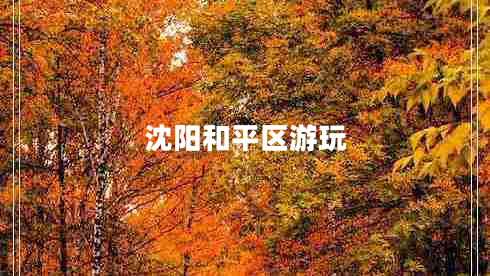 沈陽和平區(qū)游玩
