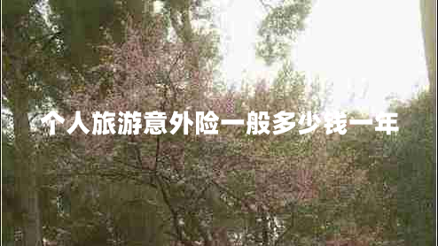 個人旅游意外險一般多少錢一年 個人旅游意外險一般多少錢一年