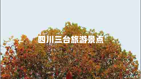 四川三臺旅游景點