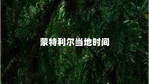 蒙特利爾當(dāng)?shù)貢r(shí)間 蒙特利爾當(dāng)?shù)貢r(shí)間