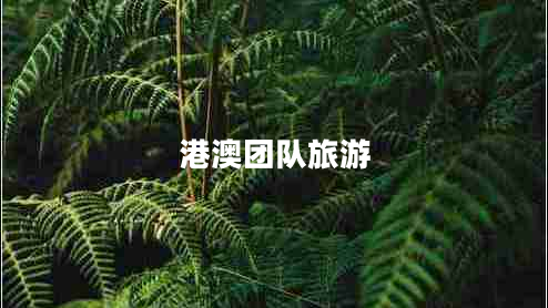 港澳團(tuán)隊(duì)旅游