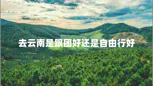 去云南是跟團(tuán)好還是自由行好