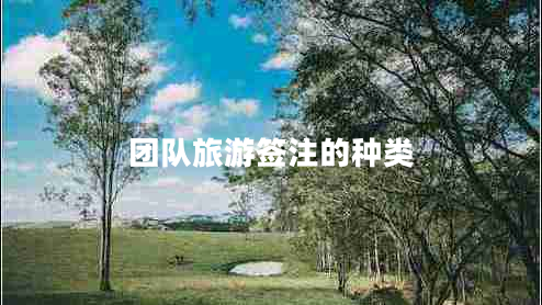 團(tuán)隊(duì)旅游簽注的種類