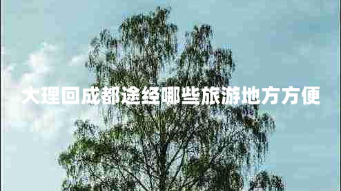 大理回成都途經哪些旅游地方方便 大理回成都途經哪些旅游地方方便