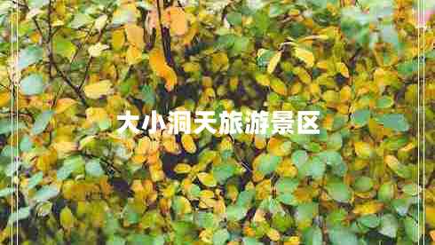 大小洞天旅游景區(qū) 大小洞天旅游景區(qū)