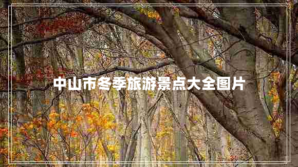 中山市冬季旅游景點大全圖片